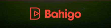 Bahigo Logo